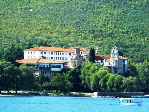 un grupo de edificios en una colina junto al agua en Hotel St. Naum, en Ljubaništa