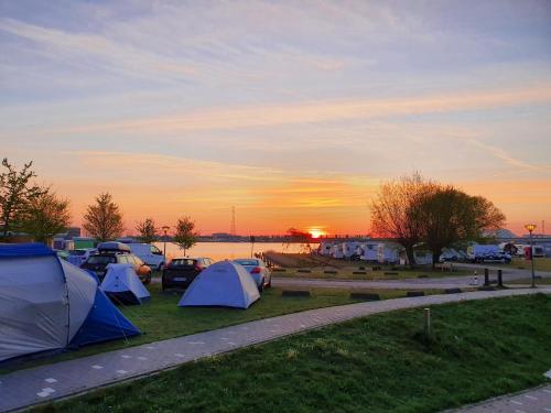 a group of tents in a field with the sunset in the background at Camping Zeeburg Amsterdam in Amsterdam