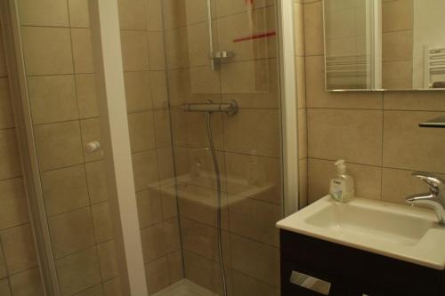 une salle de bain avec douche et lavabo dans l'établissement VOINETTES VNB2 TELECABINE & MOUNTAIN 4 Pers, à Châtel