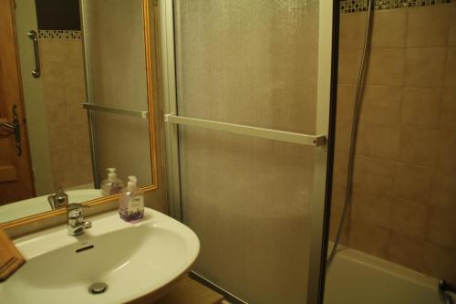 une salle de bain avec un lavabo et une douche dans l'établissement VOINETTES VNB3 TELECABINE & MOUNTAIN 4 Pers, à Châtel
