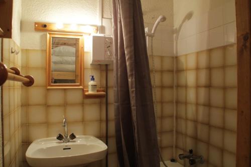 une salle de bain avec un lavabo et une douche dans l'établissement Yeti YT17B6 MOUNTAIN & NATURE 4 Pers, à Châtel