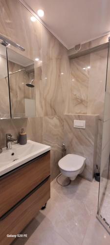 une salle de bain avec toilettes, lavabo et miroir dans l'établissement Cannes centre 4 personnes, à Cannes