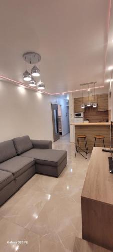 Il comprend un grand salon avec un canapé et une cuisine. dans l'établissement Cannes centre 4 personnes, à Cannes