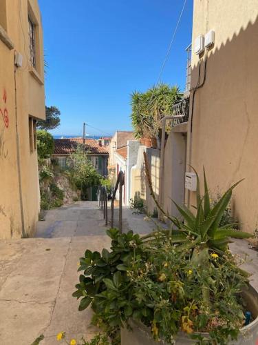 Une allée avec des plantes en pot sur le côté d'un bâtiment dans l'établissement Studio proche de la mer, à Marseille