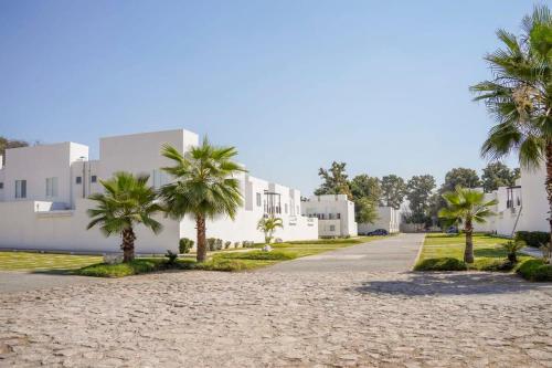 a road in front of white buildings with palm trees at Modern house in Yautepec in Yautepec
