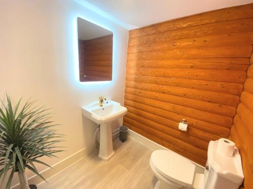 a bathroom with a white toilet and a sink at Kaoglen Doe-Feature Bathroom-Cairngorms-Pets Allowed in Balnald