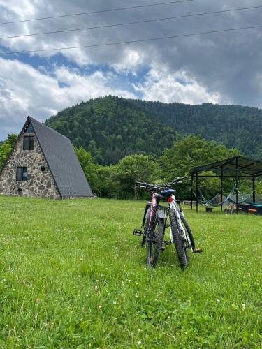 Gallery image of Hillside Borjomi Two chalet in Borjomi