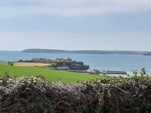 a train on a field next to a body of water at Cozy seaside cottage in Wexford