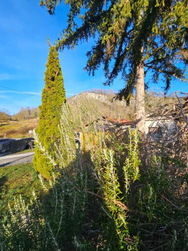 Photo de la galerie de l'établissement Maison du moulin, à Illat