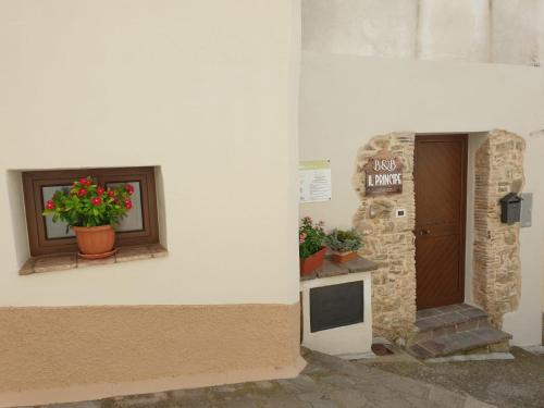 a building with a window and a door with flowers on it at IL PRINCIPE in Rotondella