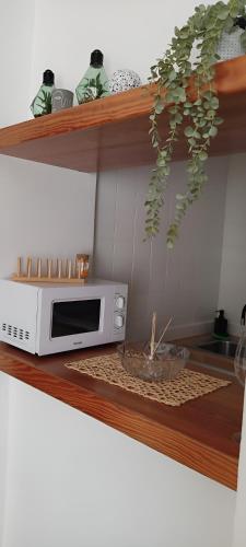 a microwave on a wooden shelf with a plant at Apartamentos Can Salas in Cala Figuera
