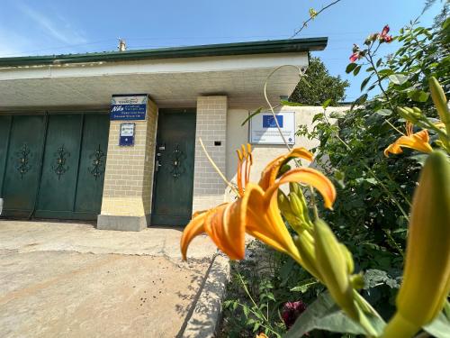 un fiore arancione davanti a un garage di Guest house "NIKA", Nukus a Nukus