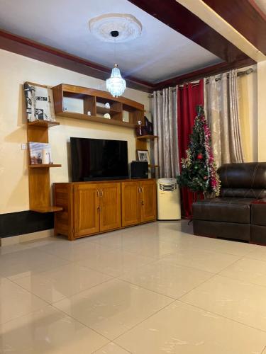a living room with a television and a christmas tree at Apex guest facility in Buea