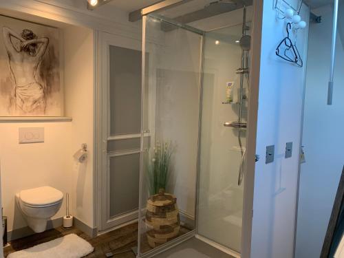 une salle de bain avec une douche en verre et des toilettes dans l'établissement Maison 6 pers Elle est Moi, à Romorantin-Lanthenay