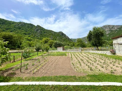 um campo de culturas com montanhas ao fundo em Riverside em Virpazar