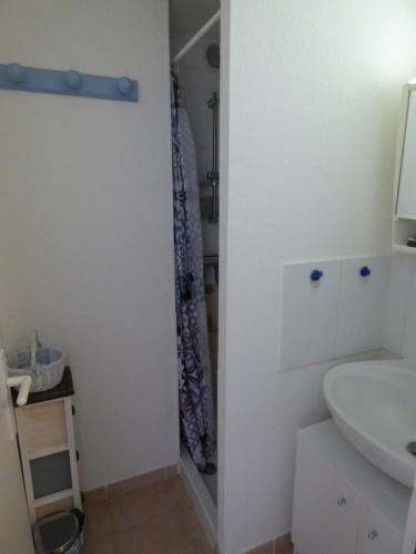 une salle de bain avec un lavabo et une douche dans l'établissement 