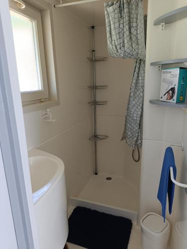 une salle de bain avec baignoire et douche dans l'établissement Le ptit plaisir, à Auch