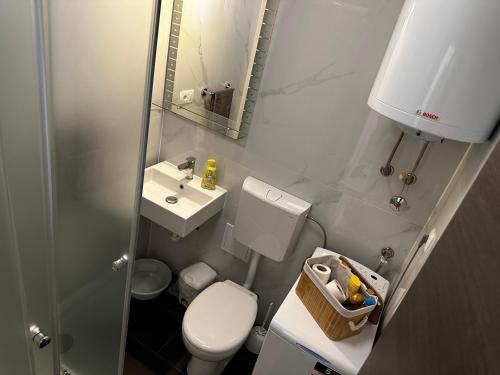 Koupelna v ubytování Apartman FOX