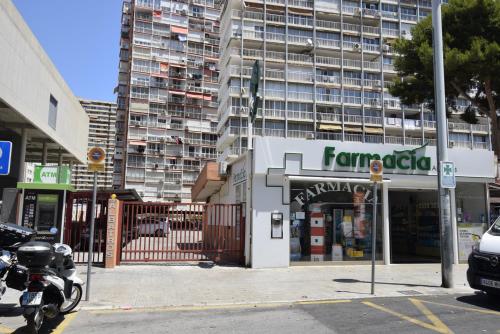 ALBATROS - Fincas Arena photo 37