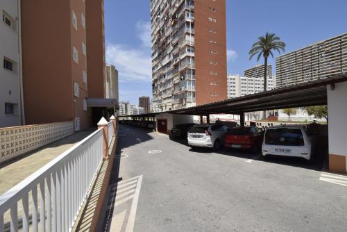 ALBATROS - Fincas Arena photo 38