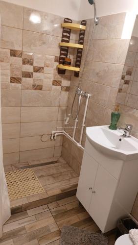 a bathroom with a shower and a toilet and a sink at Casa Remus in Sulina