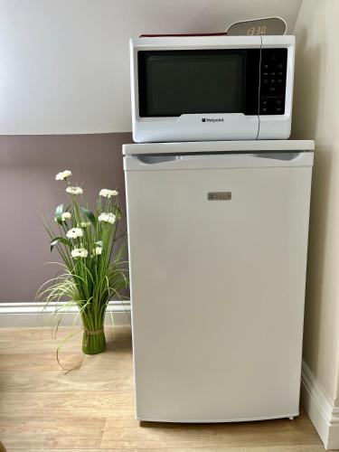 a microwave sitting on top of a refrigerator at Priors Oak - A Cosy Studio with Countryside Views in Dorset in Stalbridge