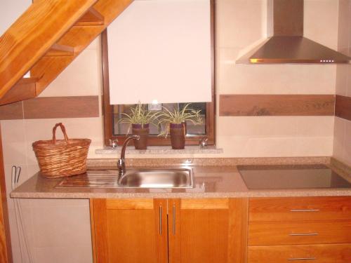 a kitchen with a sink and a window with potted plants at Moinhos do Pisão in Povoa Dao