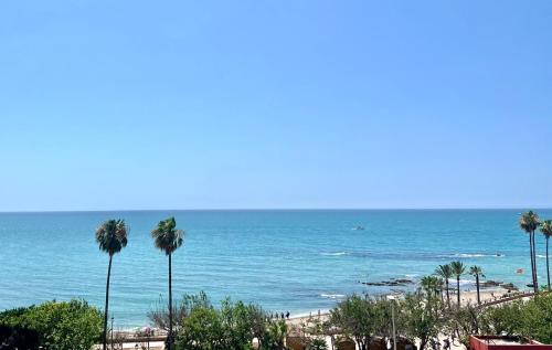 Sea Front Apartment with Large Terrace in Benalbeach
