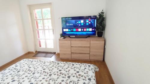 TV a/nebo společenská místnost v ubytování Viszontlát-Lak Békésszentandrás