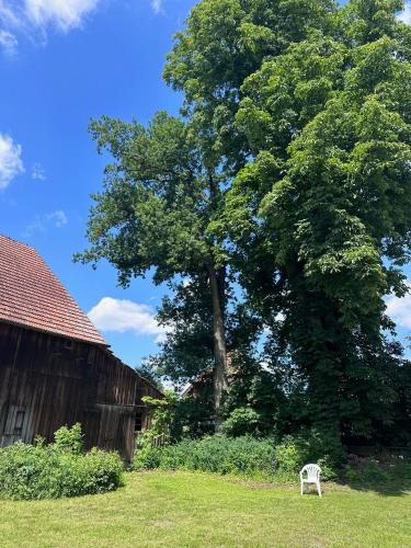 a white chair sitting in the grass next to a tree at Modernes Bauernhaus - 3 Schlafzimmer, Küche, Bad, Wohnzimmer, Kaminofen, WaterRower in Neuenmarkt