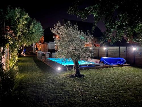 une cour avec un arbre et une piscine la nuit dans l'établissement Maison indépendante au calme dans un cadre bucolique Strasbourg Europa Park 1 à 6 personnes, à Fegersheim