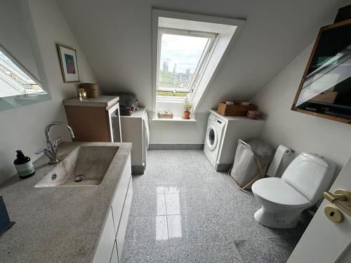 a bathroom with a toilet and a washing machine at Penthouse med egen tagterrasse in Copenhagen