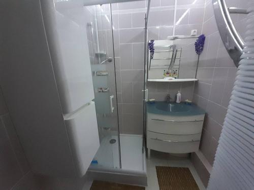 La petite salle de bains est pourvue d'une douche et d'un lavabo. dans l'établissement Appartement RDC avec Véranda et Terrasse, Proche Plage et Commerces, Parking Privatif - FR-1-324A-50, à Saint-Hilaire-de-Riez