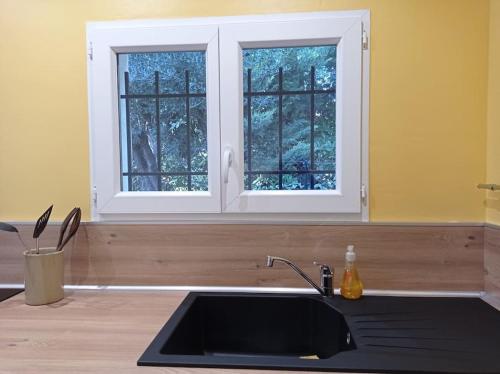une cuisine avec un évier noir et deux fenêtres dans l'établissement Petite maison dans un écrin de verdure, aux Angles (Gard)