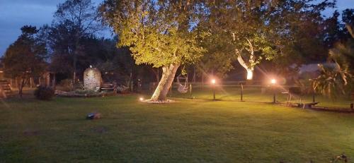 a park at night with a tree and lights at Gite isigny omaha in Saint-Germain-du-Pert