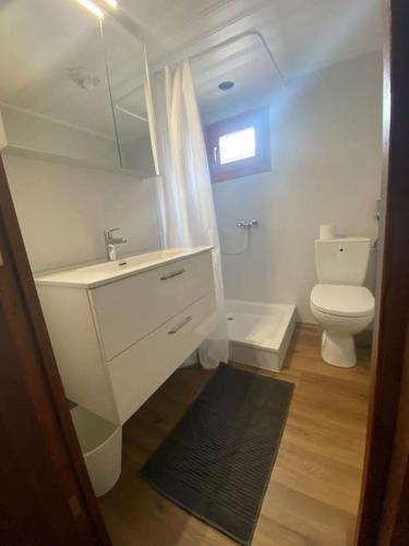 a bathroom with a white sink and a toilet at Cozy 2-Bedroom Bungalow in Interlaken