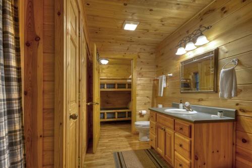 a bathroom with a sink and a toilet at Hogback Haven - Arcade Games, Hot Tub, Fire Pit, Cozy Amenities, Rocking Bench, Private Wooded View - Blue Ridge, GA in Blue Ridge