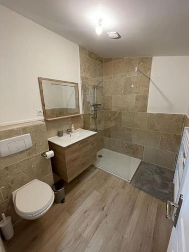 une salle de bain avec une douche, des toilettes et un lavabo dans l'établissement Duplex centre-ville, à Carcès