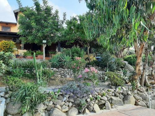 a garden with rocks and plants in front of a house at Villa Panorama in Zambrone