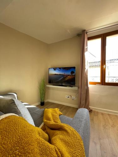 a living room with a couch and a tv at MJ studio de Provence clim wifi in Montfort-sur-Argens