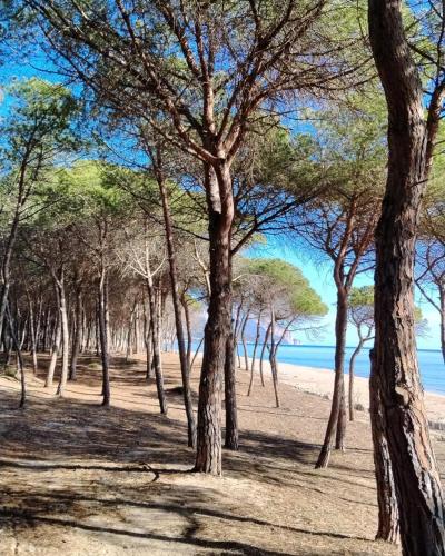 Φυσικό τοπίο κοντά σε αυτό το διαμέρισμα