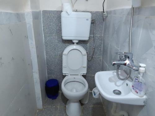 a small bathroom with a toilet and a sink at Bujtina Gjerbes in Gjerbës