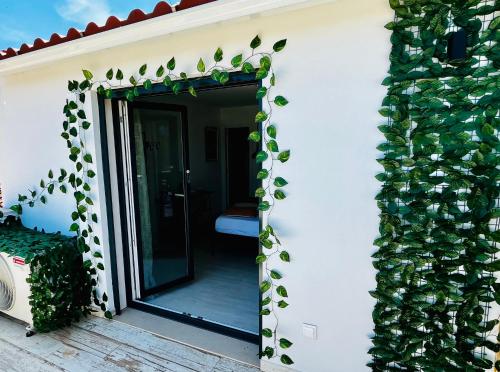 a plant growing on the side of a house at Refugio do Gato in Palmela