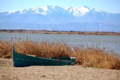 Příroda nedaleko apartmánu