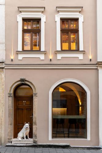 a dog sitting in the window of a building at White Wolf Boutique Apartments in Olomouc