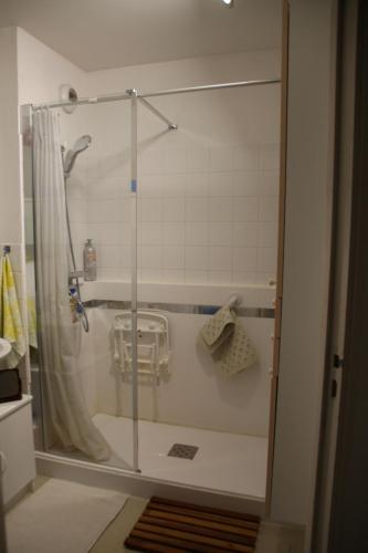 une douche avec une porte vitrée dans une salle de bain dans l'établissement Résidence Pointe de la Verdure, au Mans