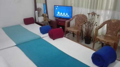a living room with red and blue chairs and a tv at cool mount home stay inn in Haputale