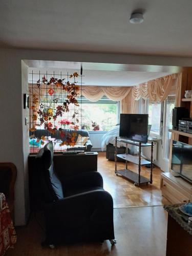 a living room with a couch and a television at Haus Sonnenschein in Trogen