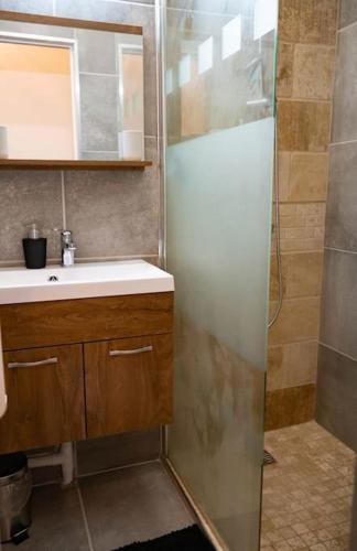 une petite salle de bain avec un lavabo et une douche dans l'établissement Le Soleil Montilien, à Montélimar