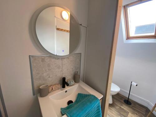 une salle de bain avec un lavabo et un miroir dans l'établissement L'Écrin de Verdure -334, à Rouen